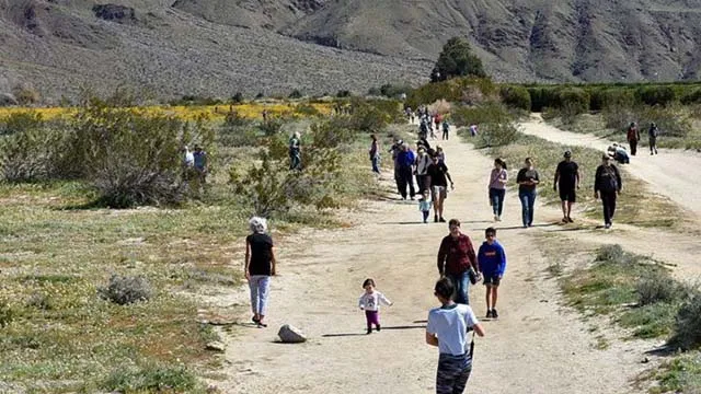 borrego springs weather