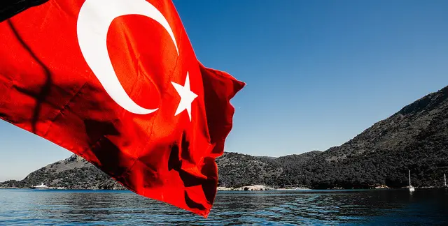 utanmaz türklere